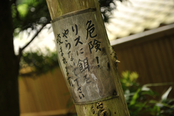 609 7 DSC_0742.jpg
